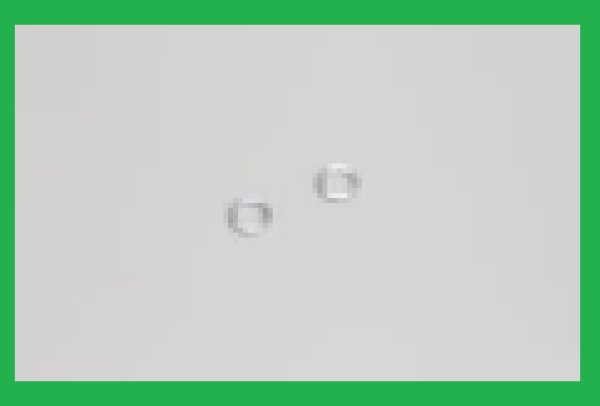 画像1: 【Quest Neoキャリバー】 カラー(6x10x1.0) (1)